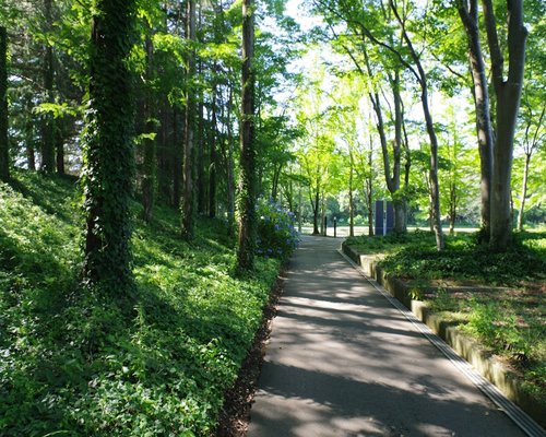 Morning walk path in a green serene park